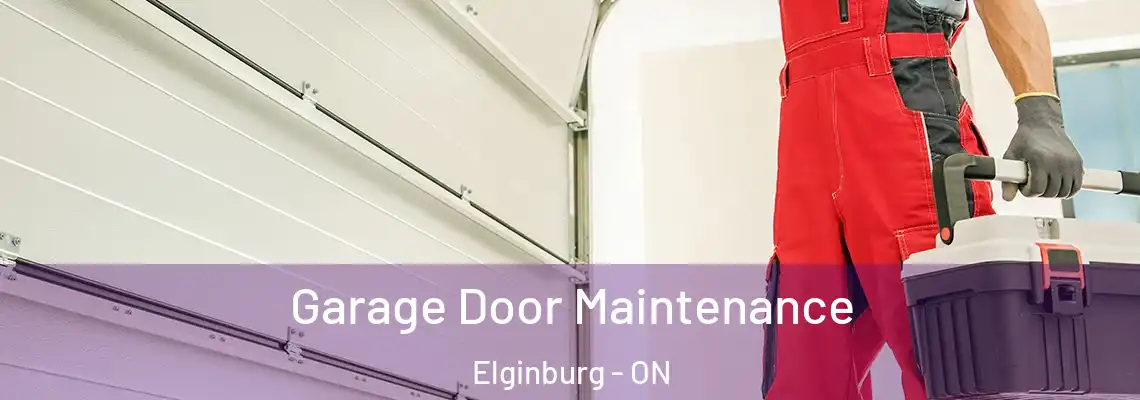  Garage Door Maintenance Elginburg - ON
