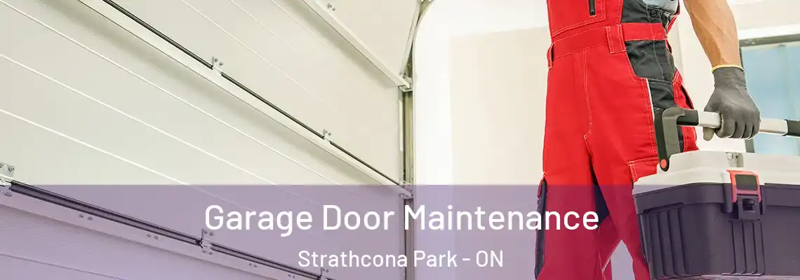 Garage Door Maintenance Strathcona Park - ON