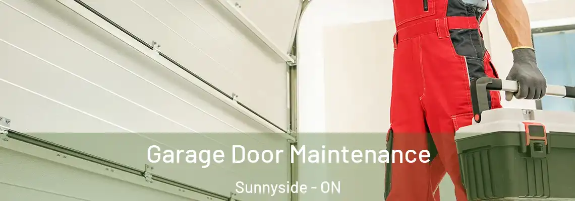  Garage Door Maintenance Sunnyside - ON