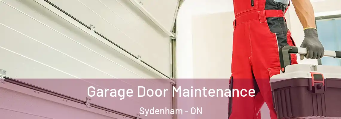 Garage Door Maintenance Sydenham - ON