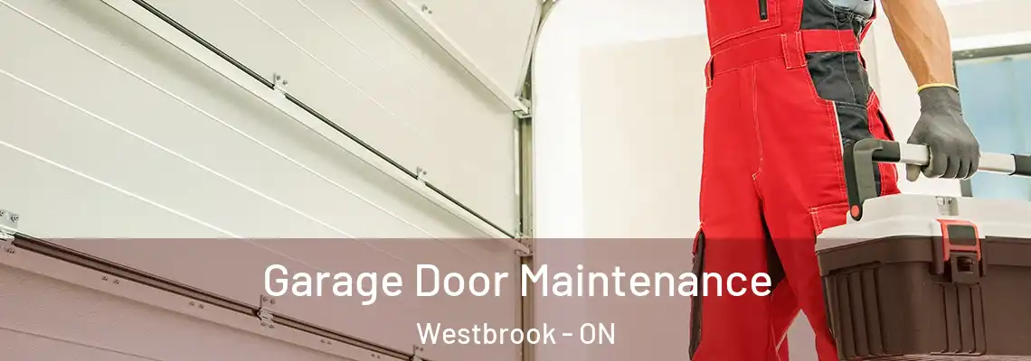 Garage Door Maintenance Westbrook - ON