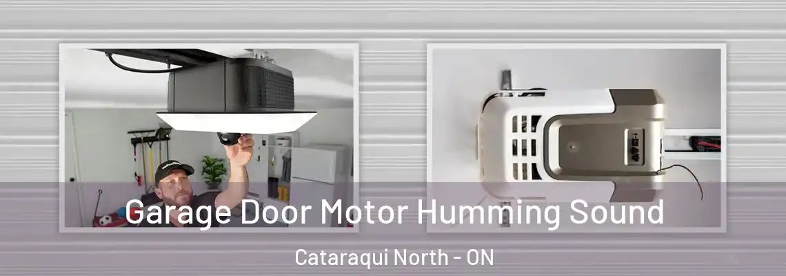 Garage Door Motor Humming Sound Cataraqui North - ON
