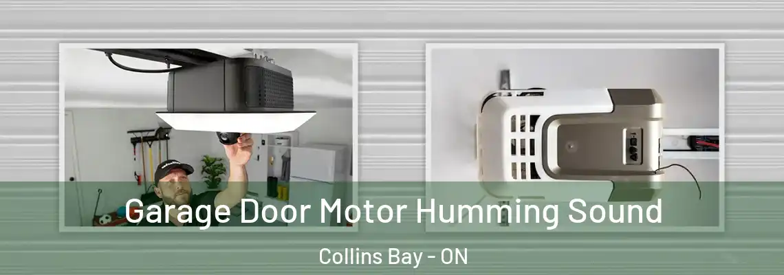  Garage Door Motor Humming Sound Collins Bay - ON