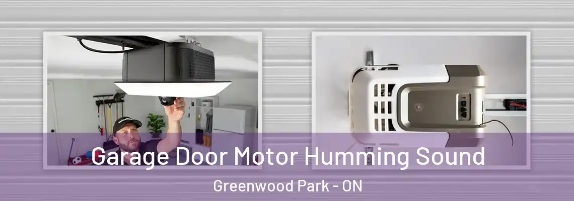 Garage Door Motor Humming Sound Greenwood Park - ON