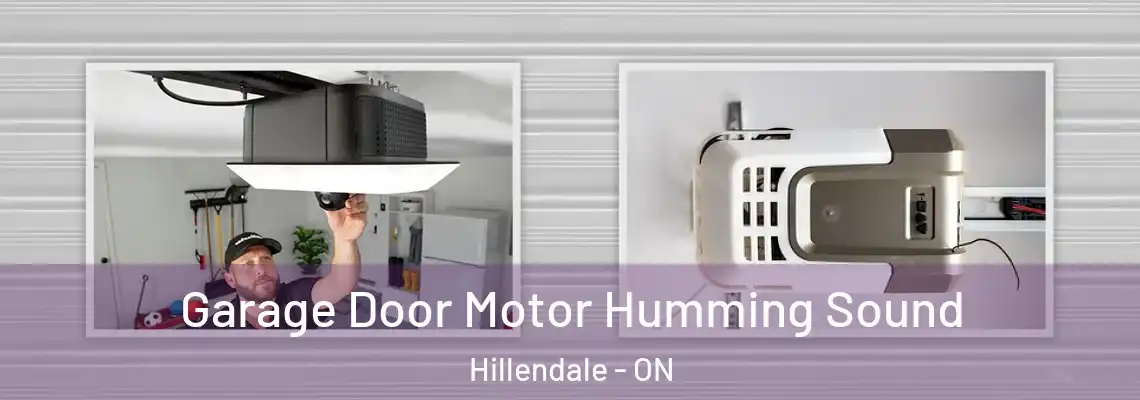  Garage Door Motor Humming Sound Hillendale - ON