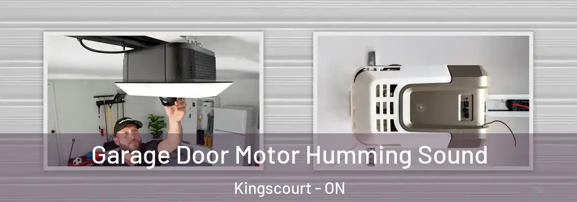 Garage Door Motor Humming Sound Kingscourt - ON