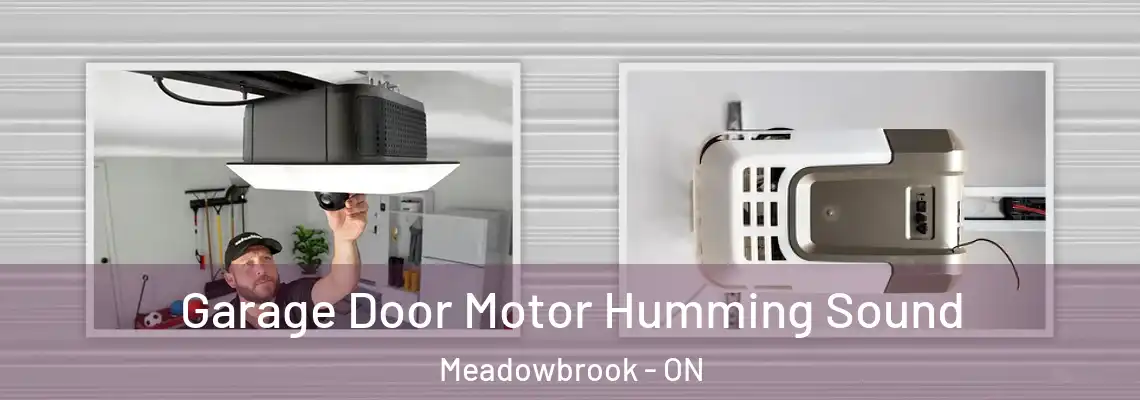 Garage Door Motor Humming Sound Meadowbrook - ON
