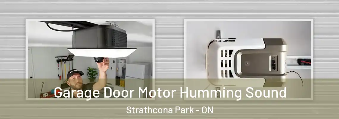 Garage Door Motor Humming Sound Strathcona Park - ON