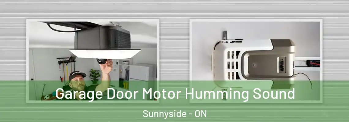 Garage Door Motor Humming Sound Sunnyside - ON