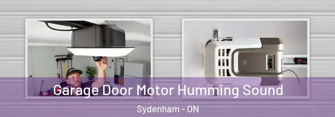  Garage Door Motor Humming Sound Sydenham - ON