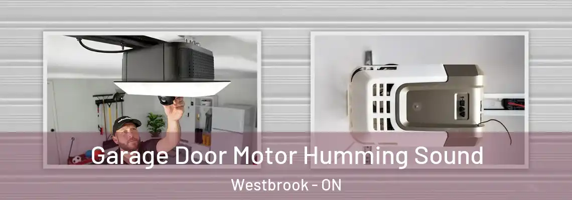  Garage Door Motor Humming Sound Westbrook - ON