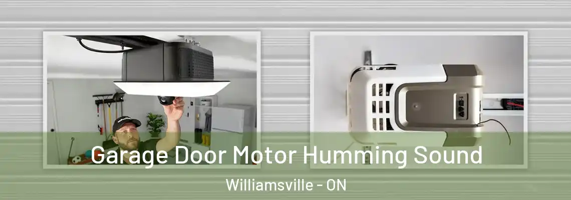  Garage Door Motor Humming Sound Williamsville - ON
