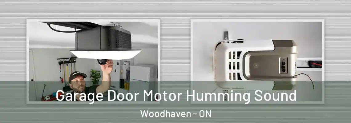 Garage Door Motor Humming Sound Woodhaven - ON