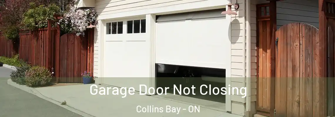 Garage Door Not Closing Collins Bay - ON