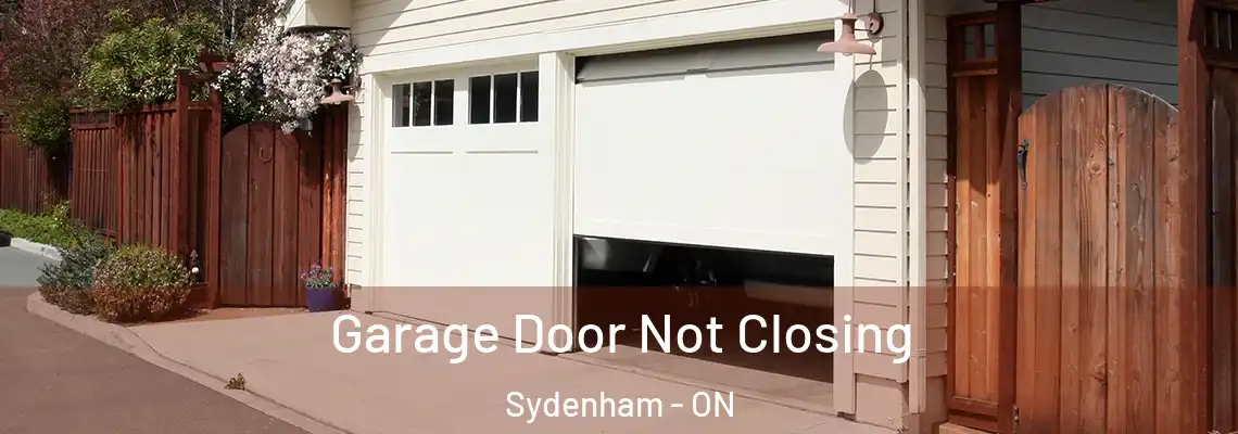  Garage Door Not Closing Sydenham - ON