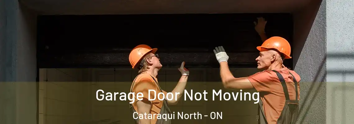  Garage Door Not Moving Cataraqui North - ON