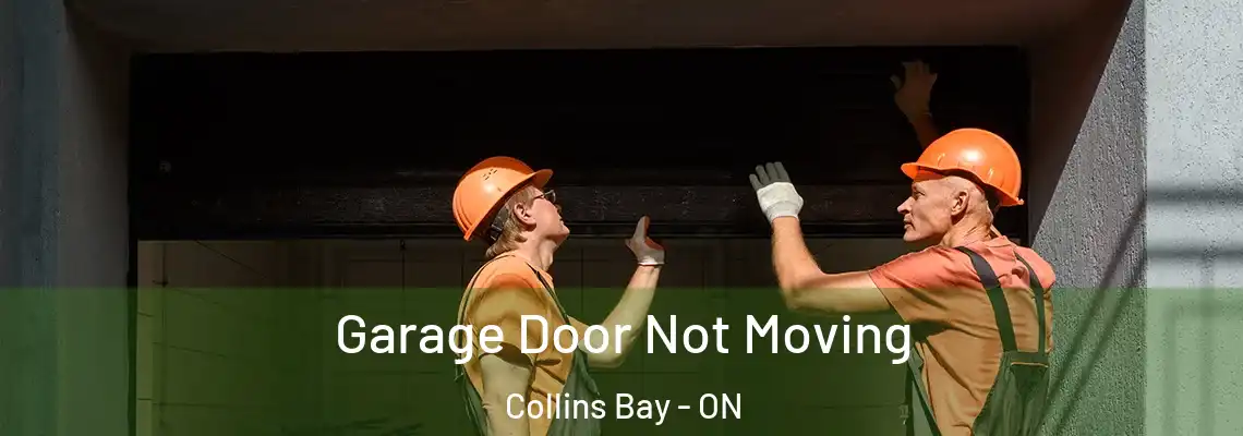 Garage Door Not Moving Collins Bay - ON