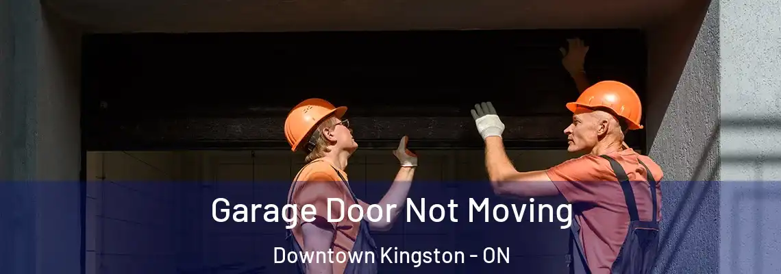 Garage Door Not Moving Downtown Kingston - ON