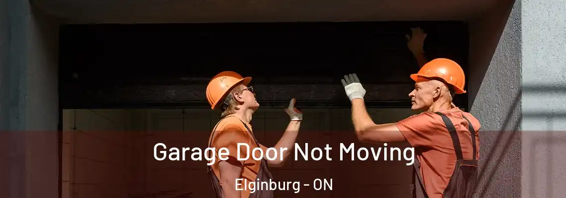 Garage Door Not Moving Elginburg - ON