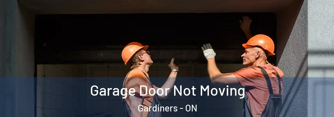 Garage Door Not Moving Gardiners - ON