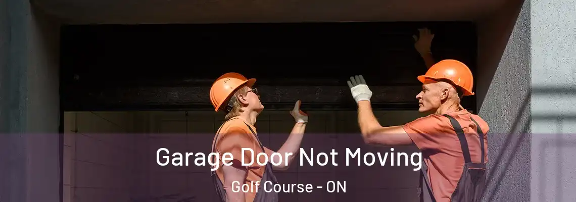  Garage Door Not Moving Golf Course - ON