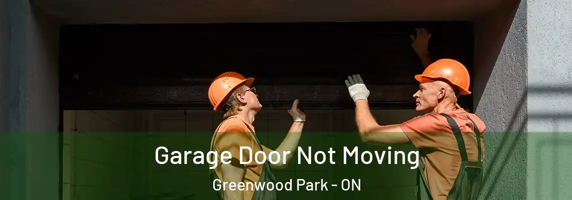 Garage Door Not Moving Greenwood Park - ON