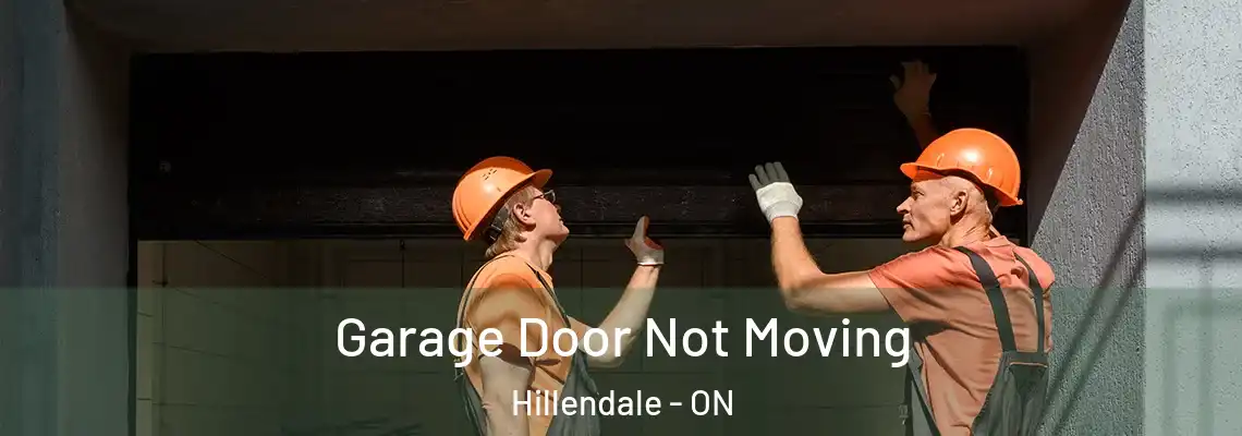 Garage Door Not Moving Hillendale - ON