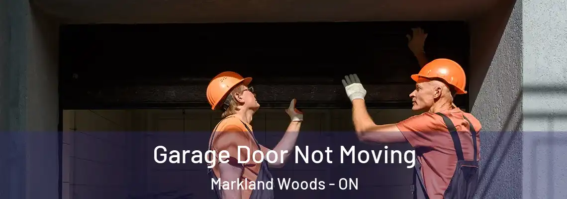 Garage Door Not Moving Markland Woods - ON