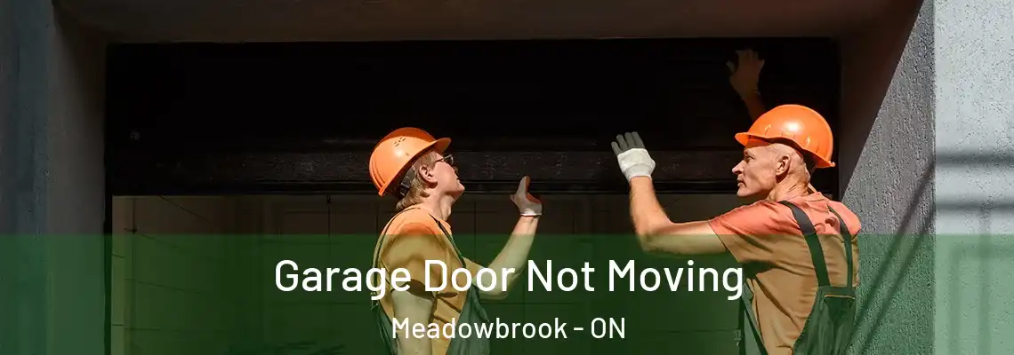 Garage Door Not Moving Meadowbrook - ON