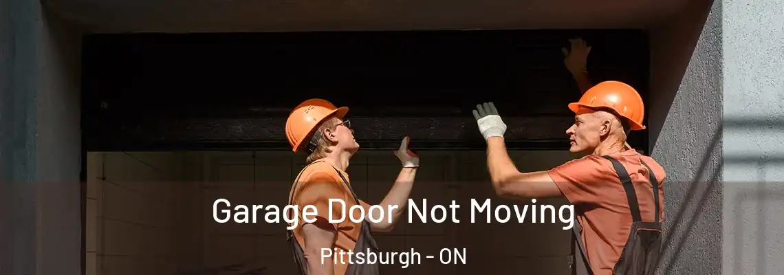 Garage Door Not Moving Pittsburgh - ON