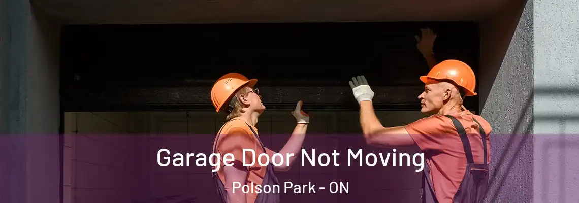 Garage Door Not Moving Polson Park - ON