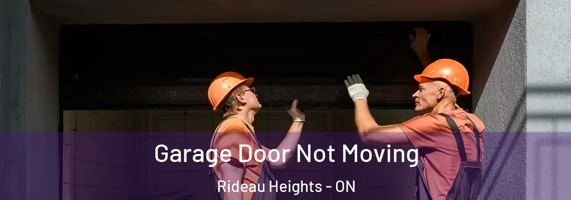  Garage Door Not Moving Rideau Heights - ON