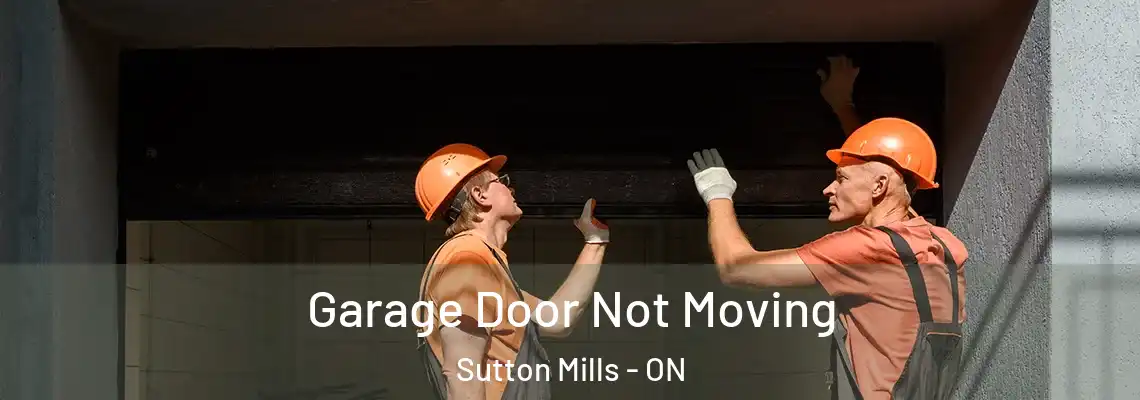 Garage Door Not Moving Sutton Mills - ON