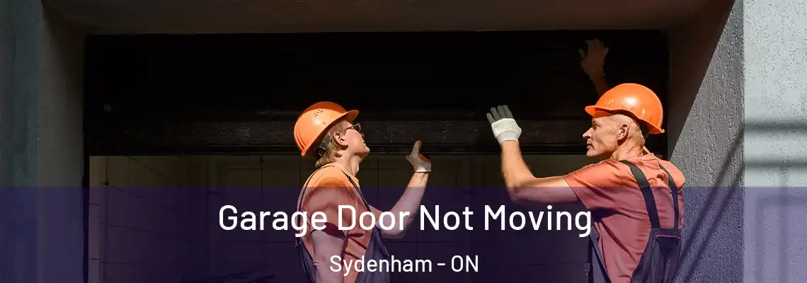 Garage Door Not Moving Sydenham - ON