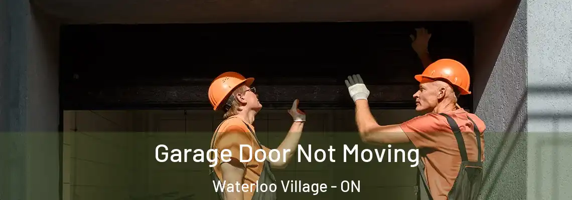 Garage Door Not Moving Waterloo Village - ON
