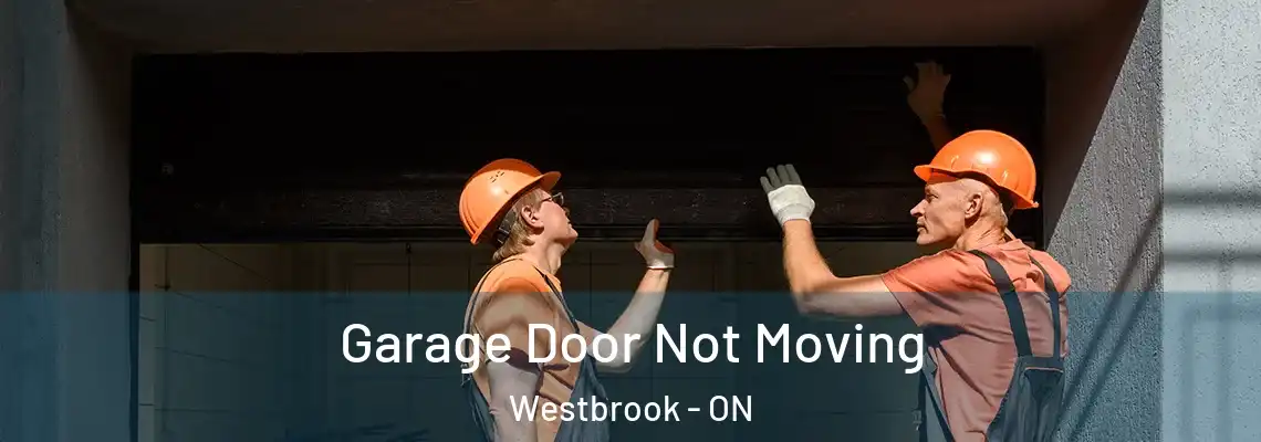 Garage Door Not Moving Westbrook - ON