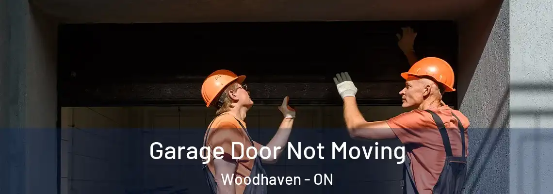 Garage Door Not Moving Woodhaven - ON