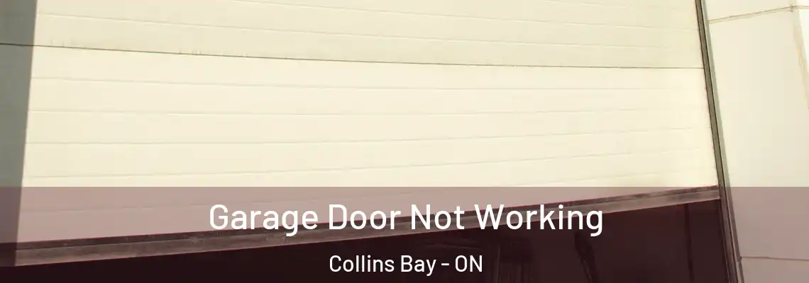  Garage Door Not Working Collins Bay - ON