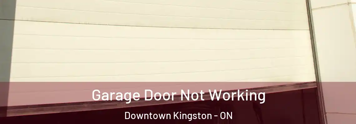 Garage Door Not Working Downtown Kingston - ON