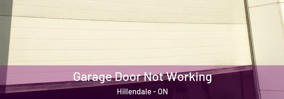Garage Door Not Working Hillendale - ON