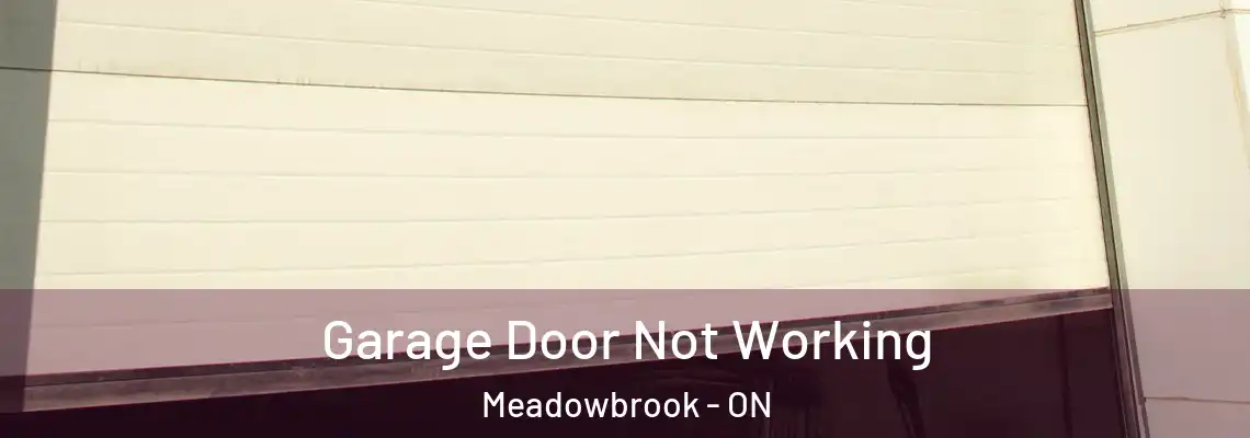  Garage Door Not Working Meadowbrook - ON