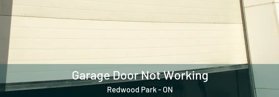 Garage Door Not Working Redwood Park - ON