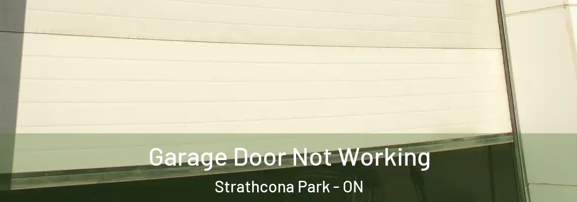  Garage Door Not Working Strathcona Park - ON