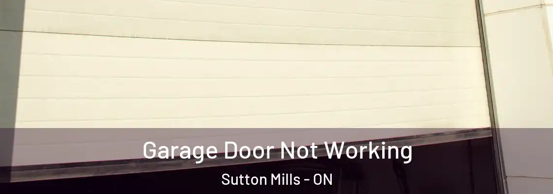 Garage Door Not Working Sutton Mills - ON