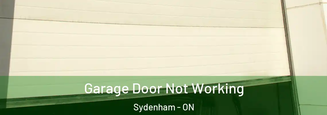  Garage Door Not Working Sydenham - ON