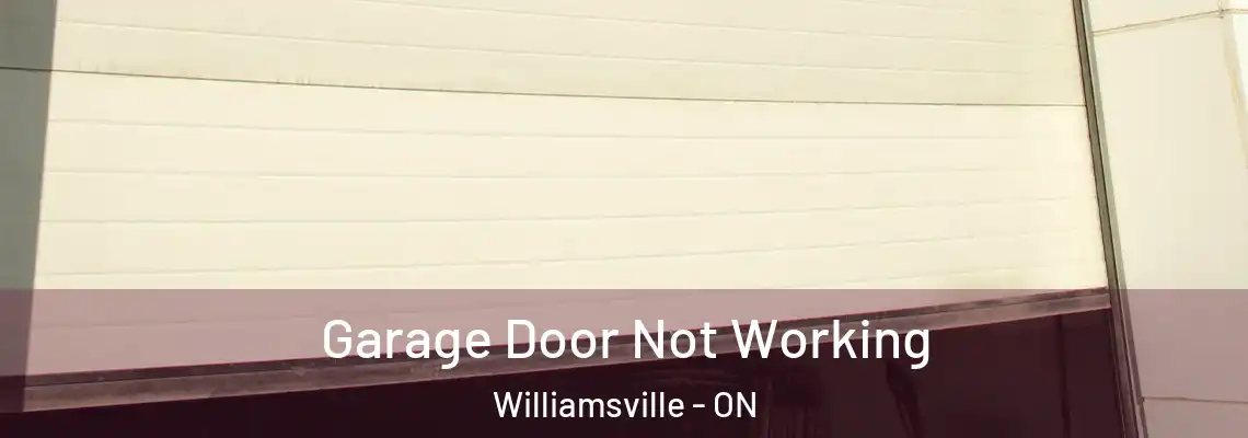  Garage Door Not Working Williamsville - ON
