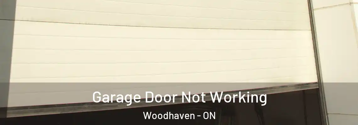  Garage Door Not Working Woodhaven - ON