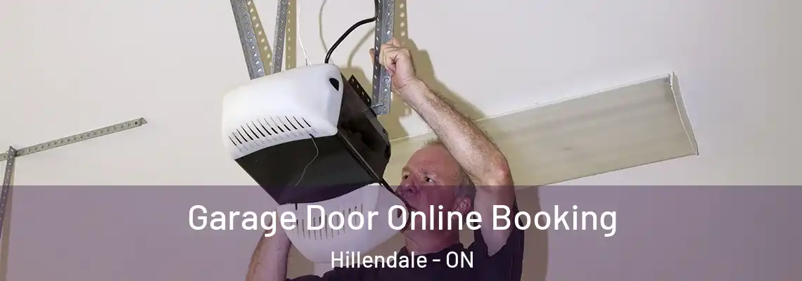  Garage Door Online Booking Hillendale - ON