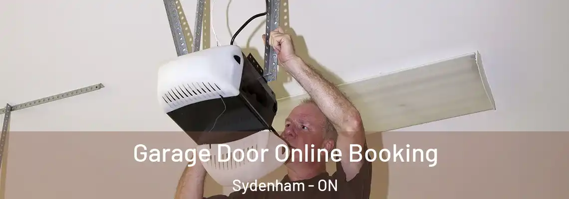  Garage Door Online Booking Sydenham - ON