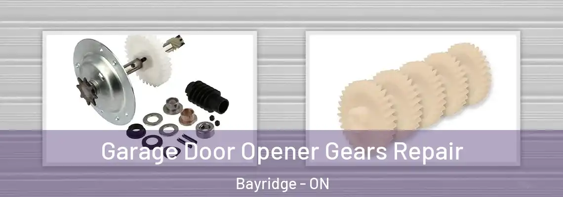  Garage Door Opener Gears Repair Bayridge - ON